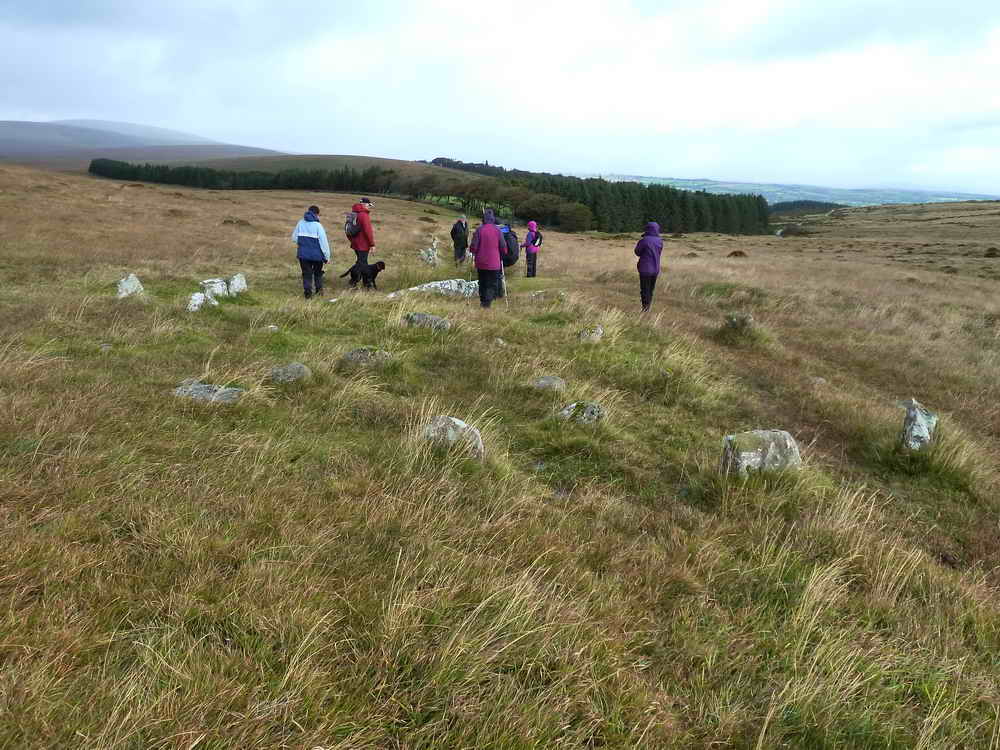 Fourfold stone circle, and fallen menhir at approximately SX 6594 8602