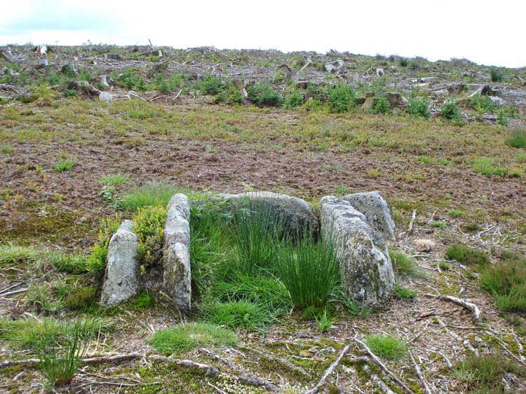 A second cist at SX 64708 77171