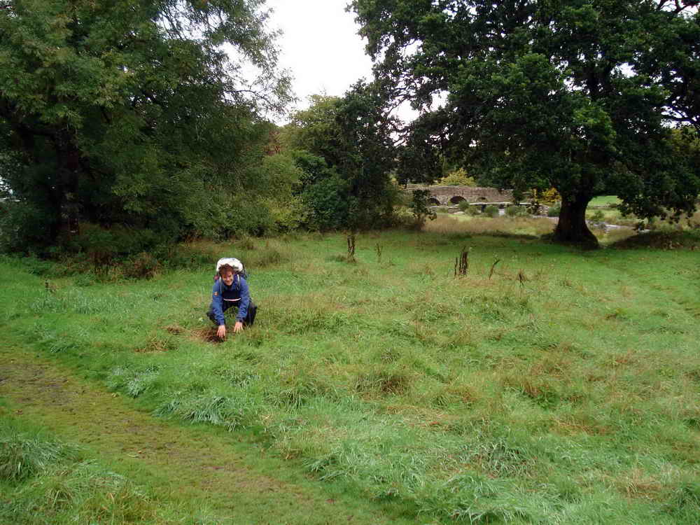 Finding an old Mould Stone. SX 64810 78802