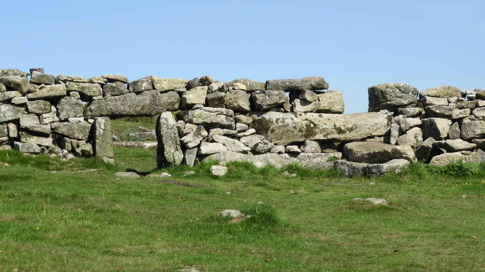 Sheep creep and genuine solid step stile, at SX 73834 73827, beside the Ashburton Road that runs down to Deadman’s Corner