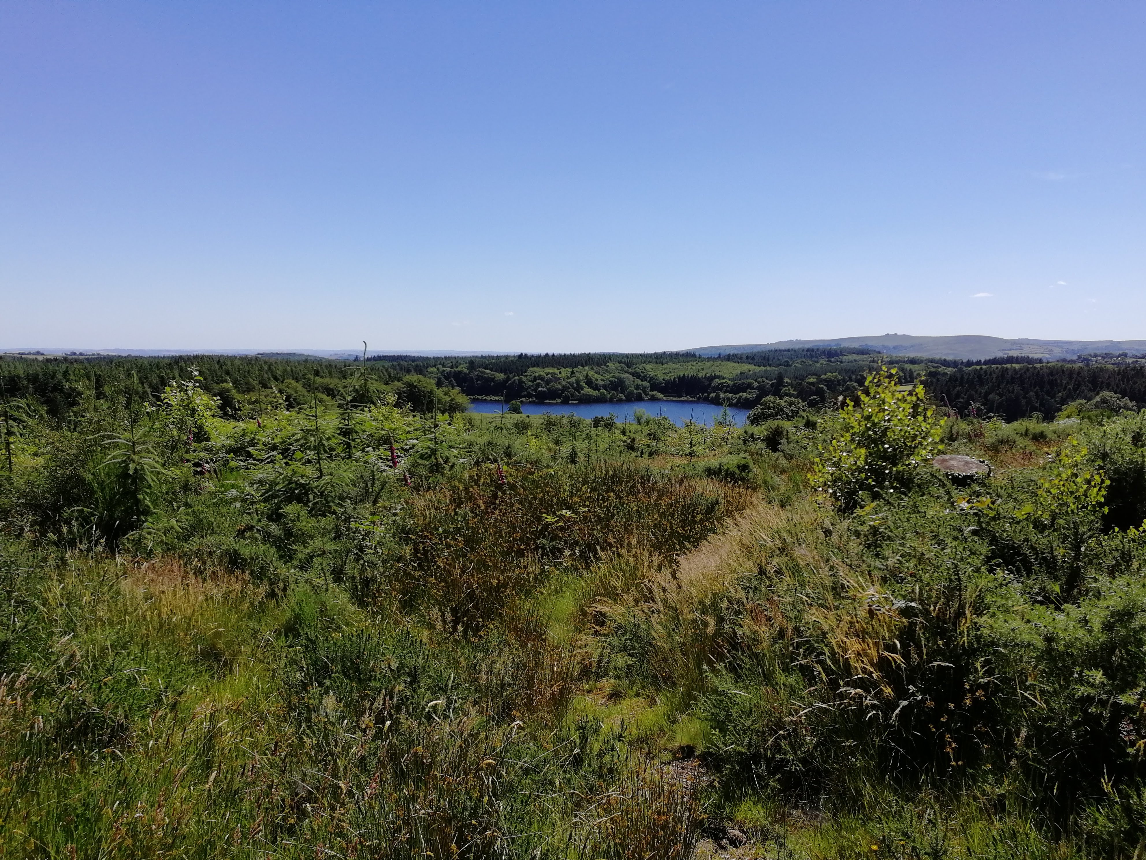 View of the Kennick Reservoir