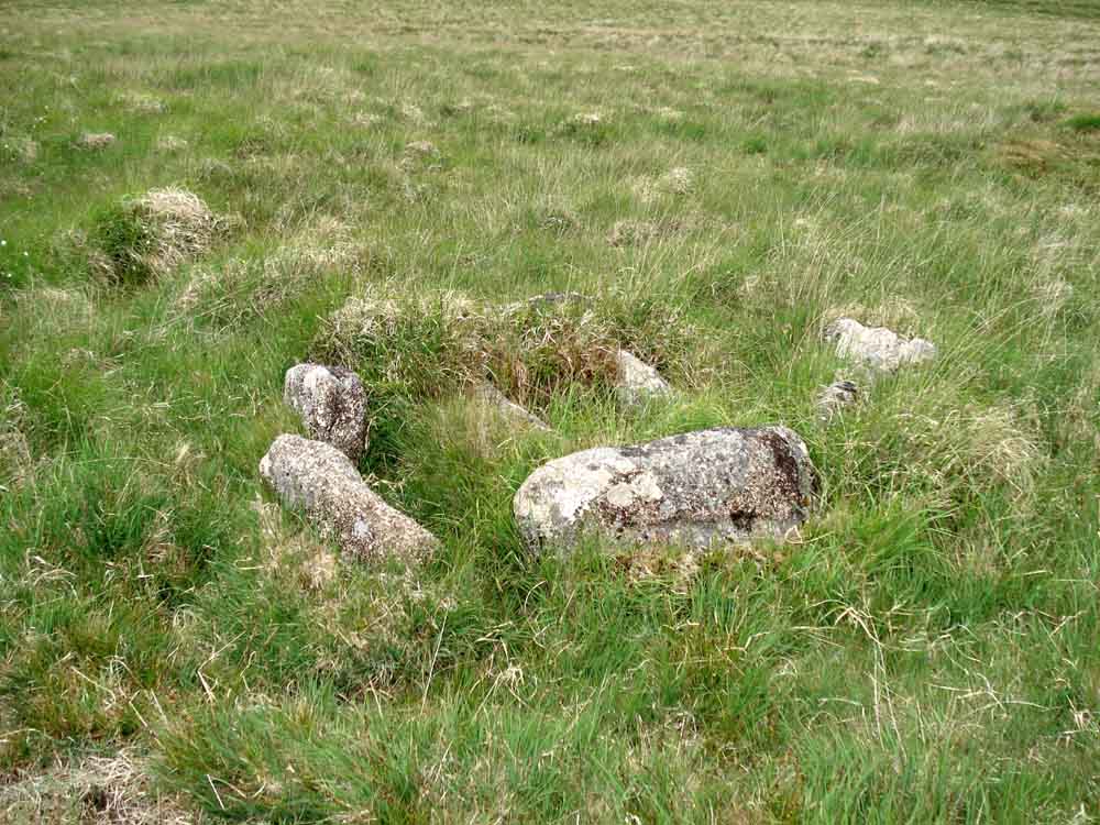 Foxtor mire Cairn and Cist - Cist 1. SX 61801 70312