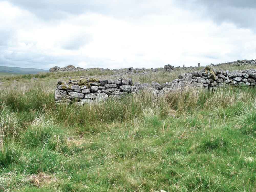 Some of the ruins of Foxtor Farm