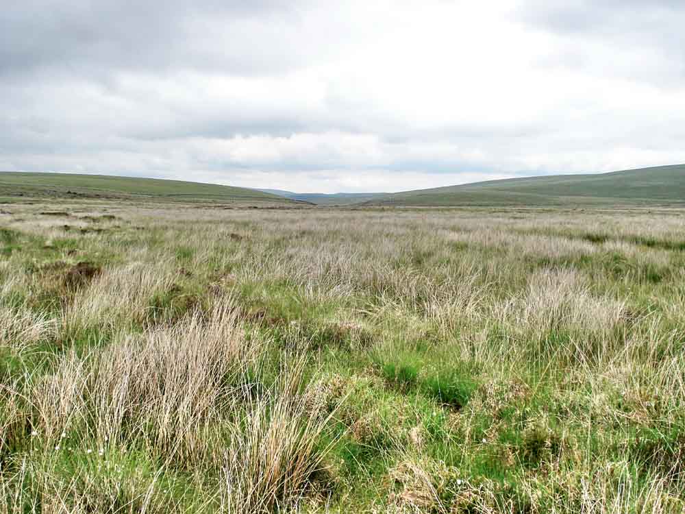 A view from the middle of the mire, looking north-eastwards towards the Swincombe valley