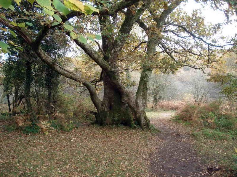 Featured image of post Newbridge and Deeper Marsh