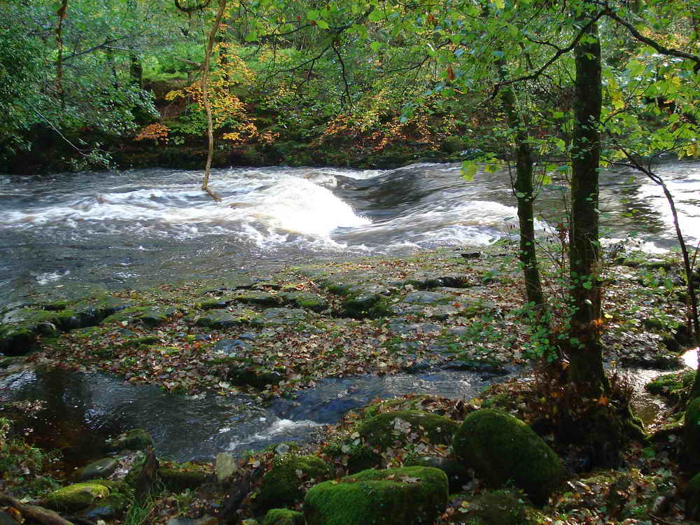 A fast flowing section of the river, going over submerged rocks
