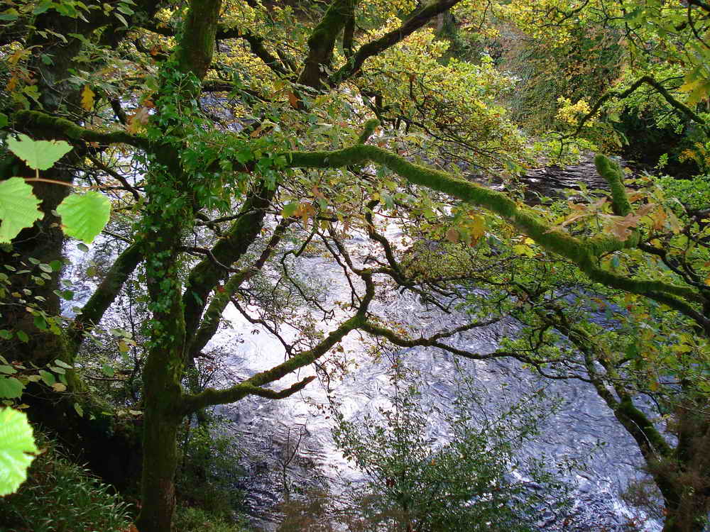Looking down on the river from an elevated section of path