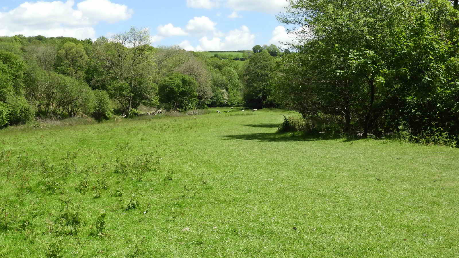 Rudge Meadow