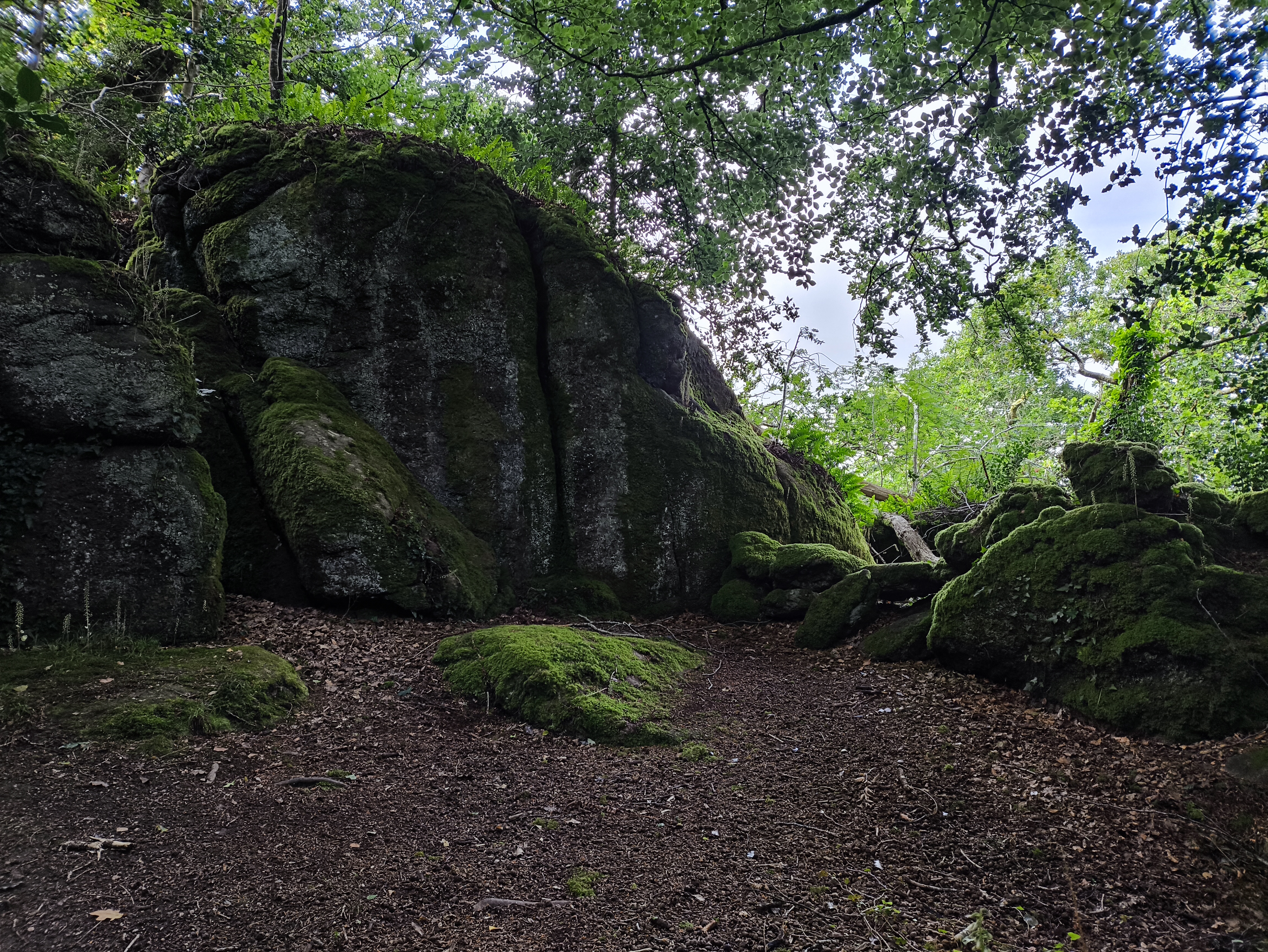 Tors and Rocks of Shaptor Woods
