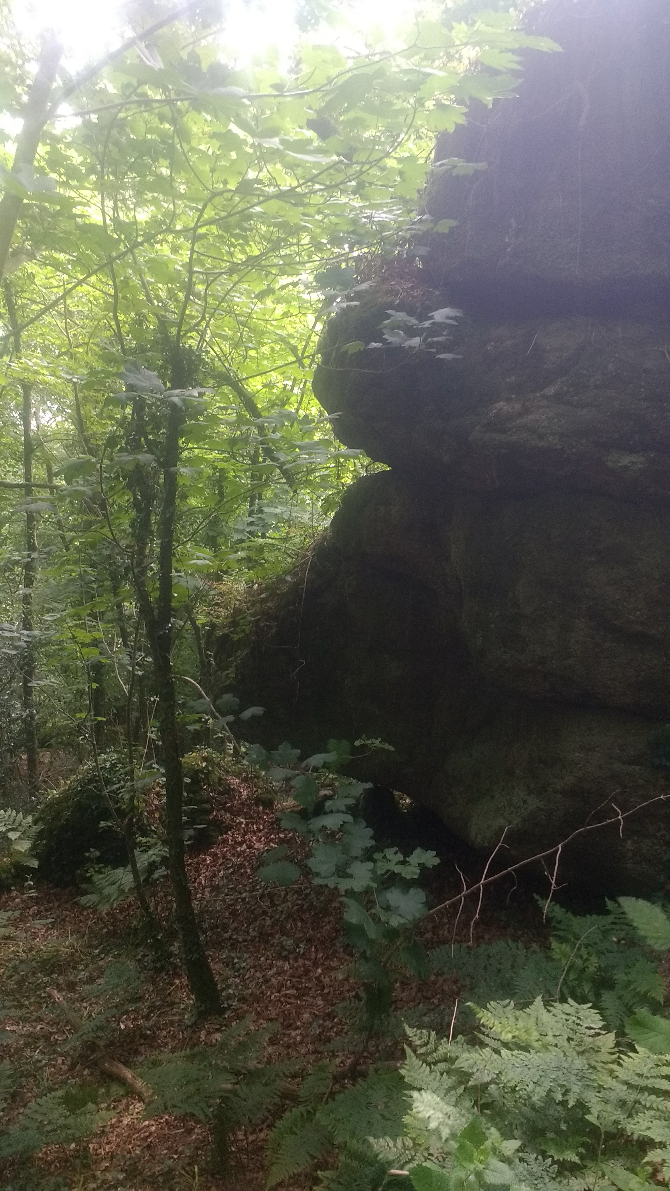 One of many rockfaces in Shaptor Woods