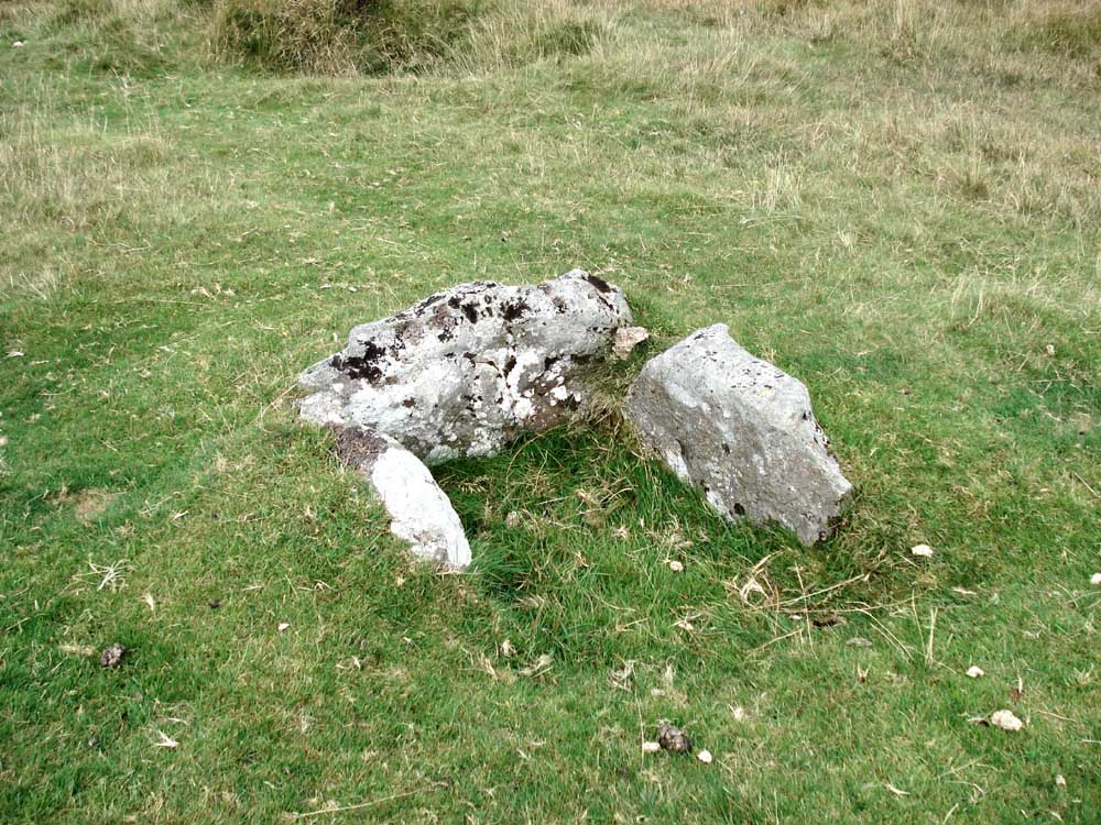 Outhome cist, SX 57995 68278