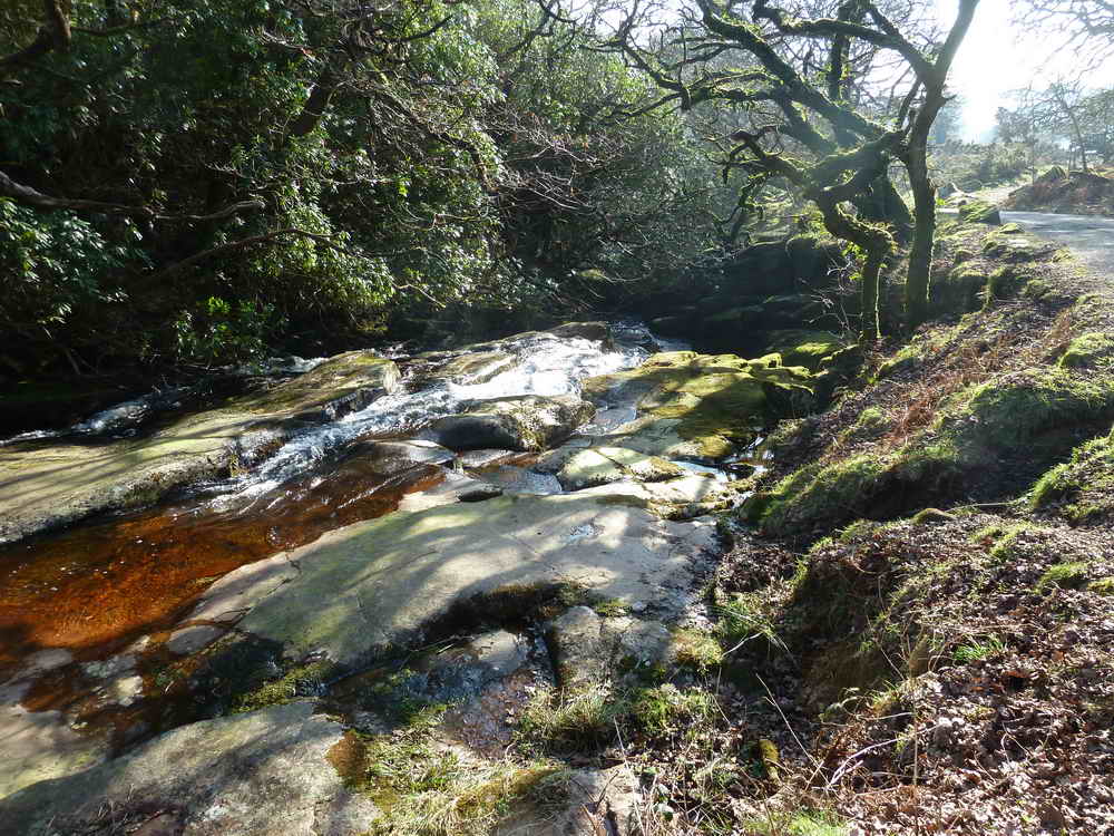 The River Avon