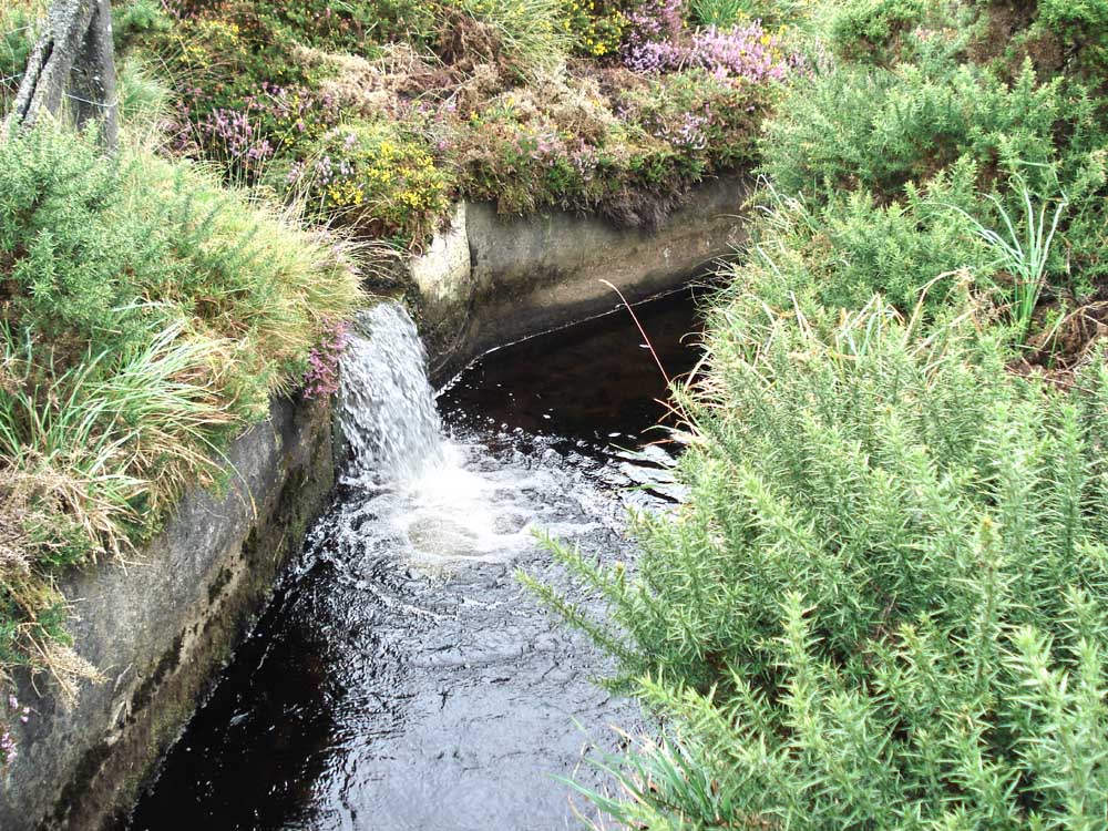 A small side leat feeding into the main inlet channel (the Wheal Jewell Leat)