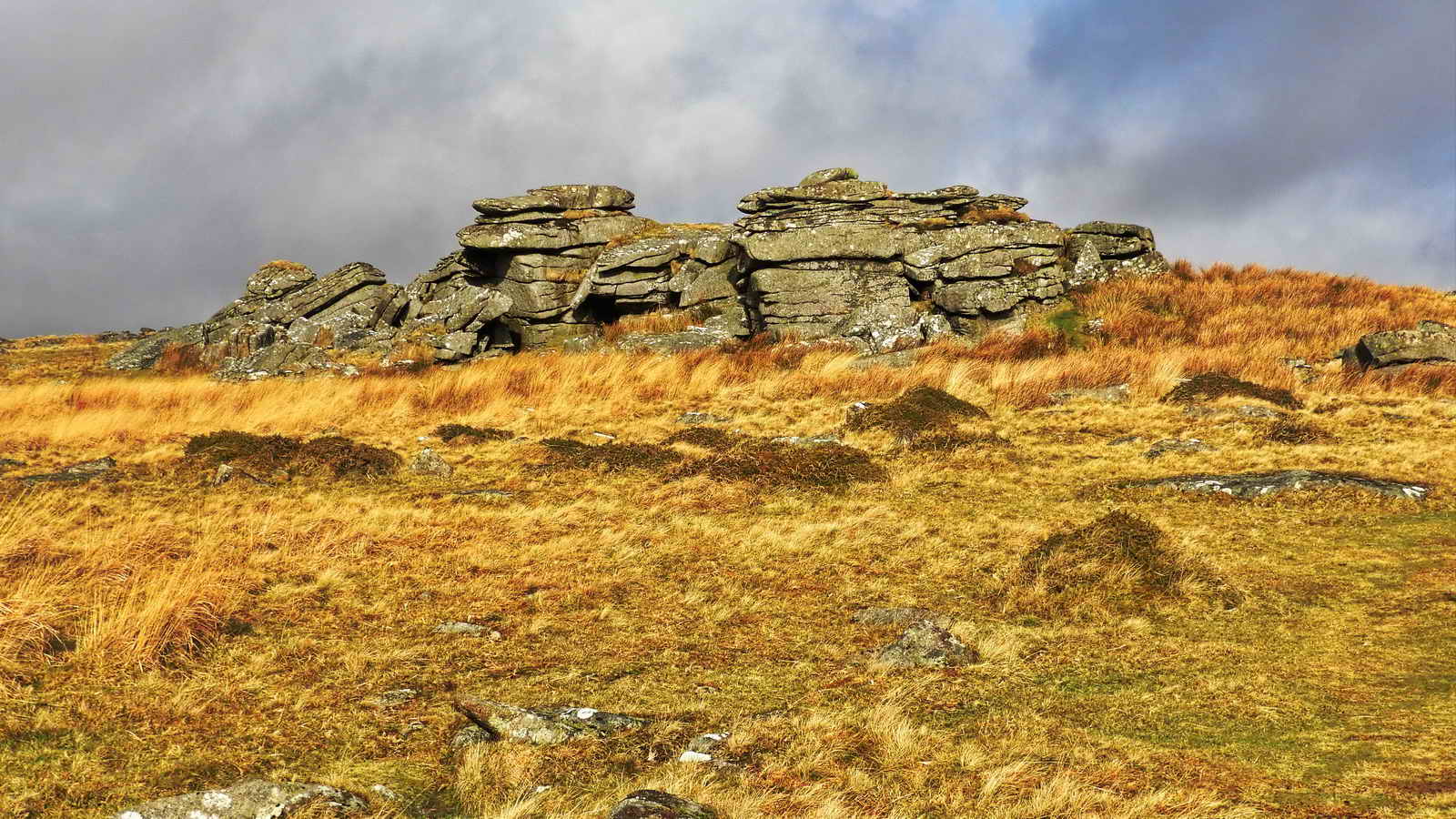 The main pile of Littaford Tors