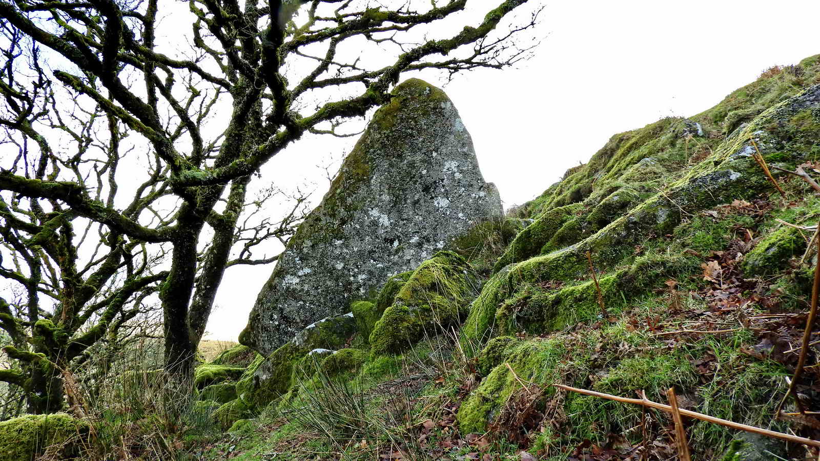 The Buller Stone. SX 61246 77352