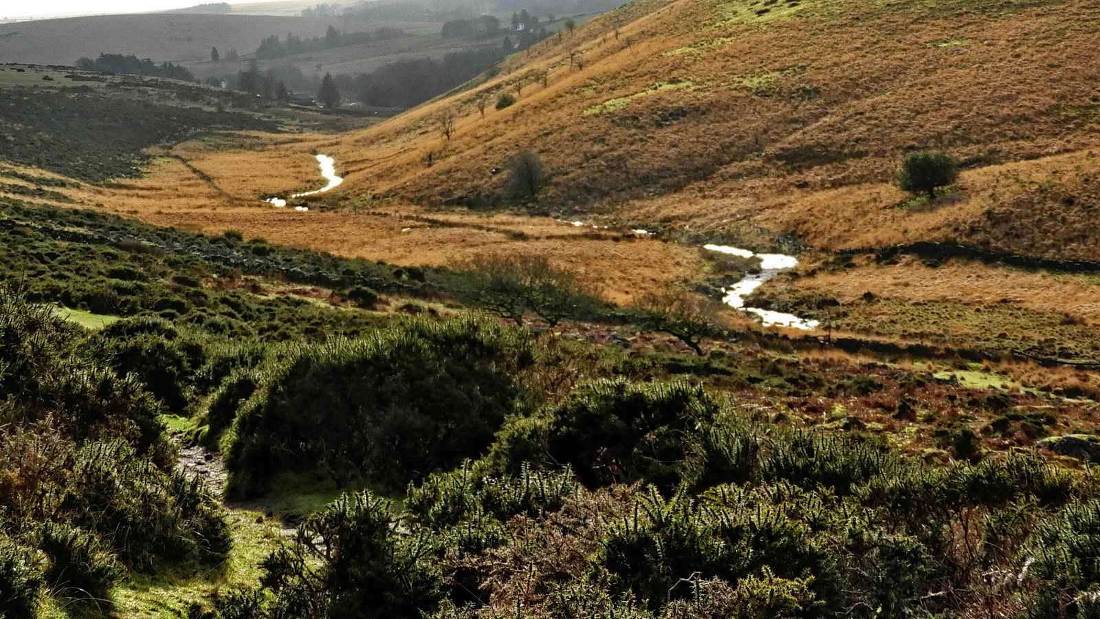 Looking down the West Dart River valley