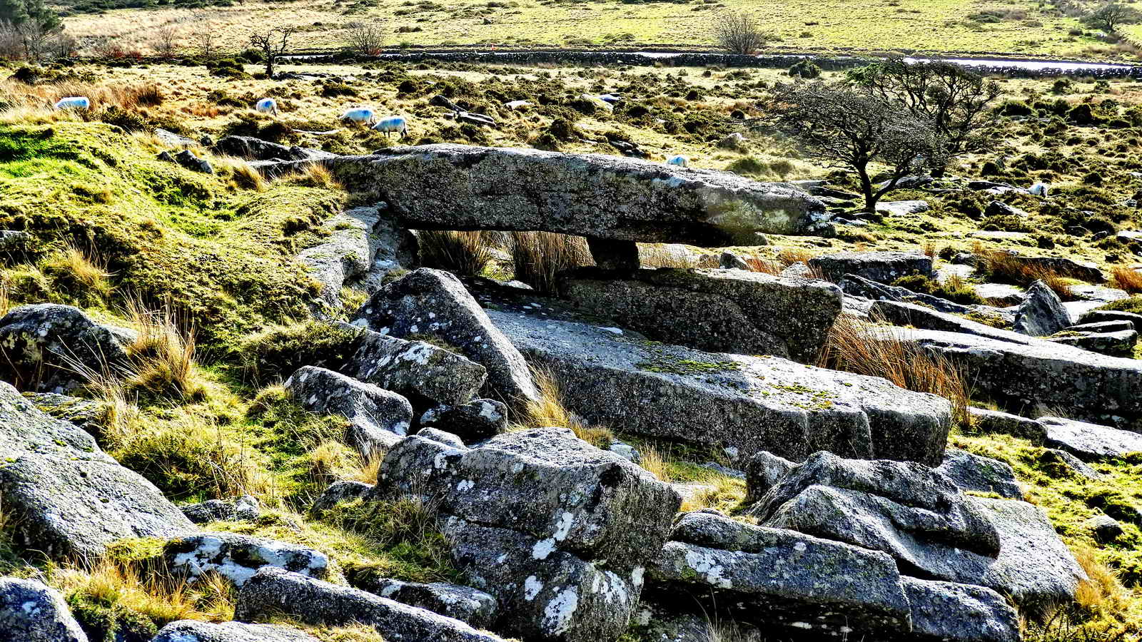 Possibly the Judge’s Table